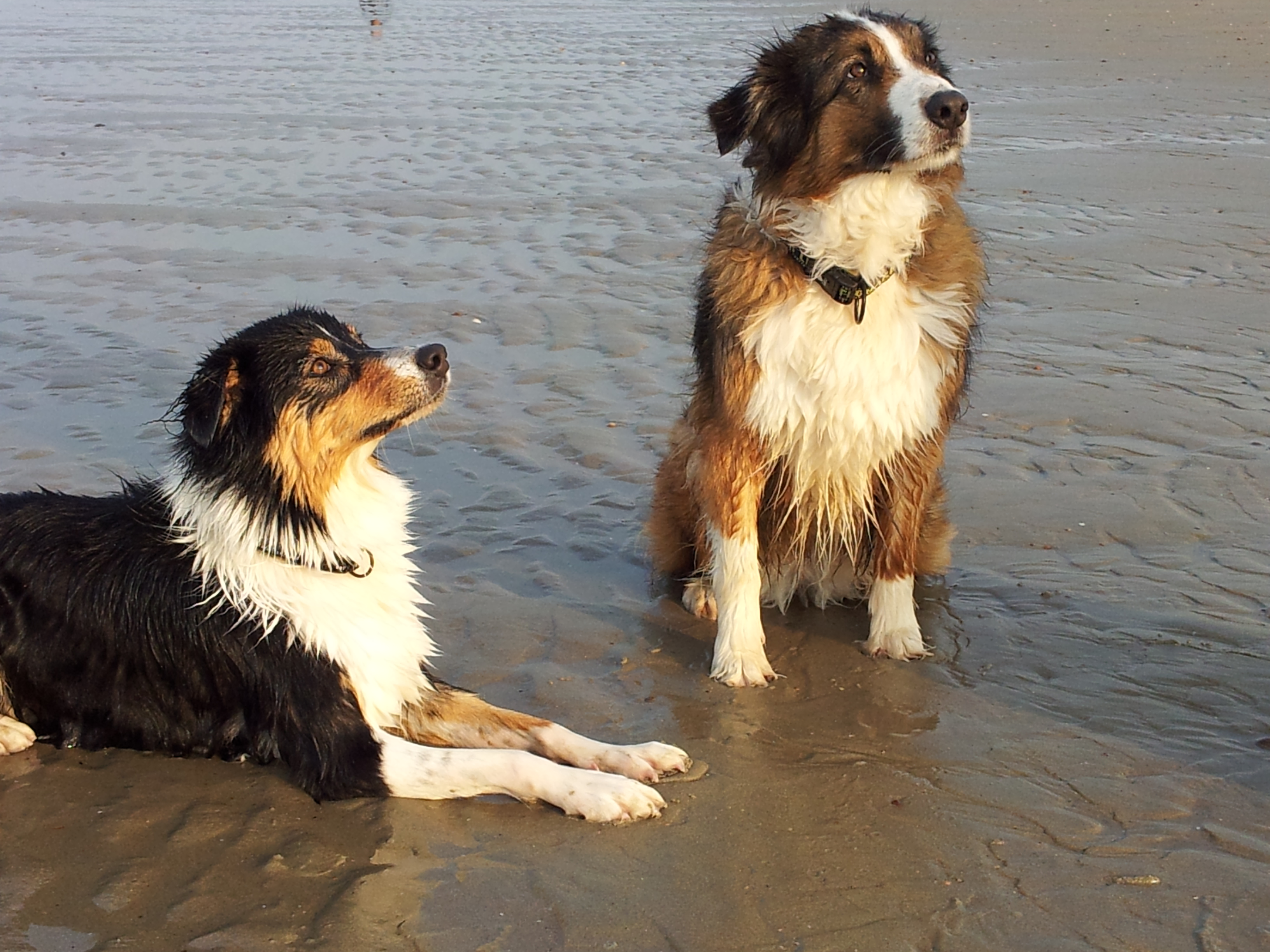 Lexy und Fenja